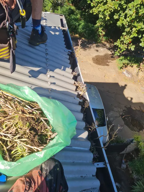 Chéneau d'une toiture en tôle vu depuis le toit, un sac de déchets végétaux au premier plan